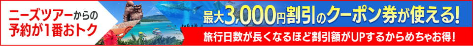 公式サイト予約限定ツアー