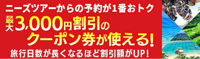 公式サイト予約限定ツアー