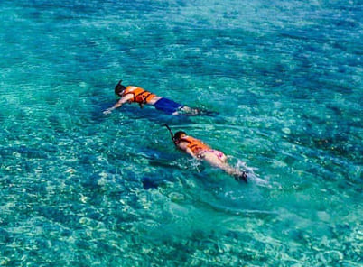 沖縄でシュノーケリング 透明な海で魚と泳ごう 沖縄旅行 北海道旅行のことなら国内格安旅行 格安ツアーのニーズツアー