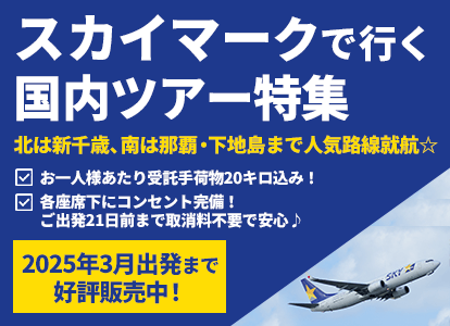 skymark