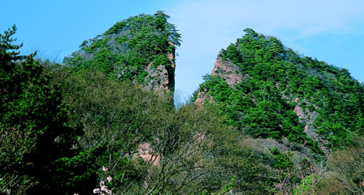 佐渡島